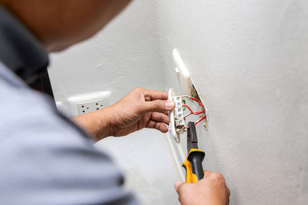 Best Licensed Electrician  in Logan Elm Village, OH